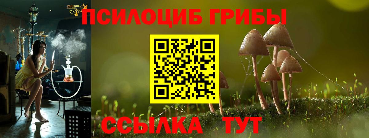 Галлюциногенные грибы Magic Shrooms  Вход с VPN  Псилоцибиновые грибы мицелий  Сухой Лог 